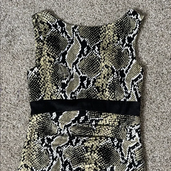 Karen Miller Snakeskin Print Sleeveless Dress Size 6 - Picture 3 of 14